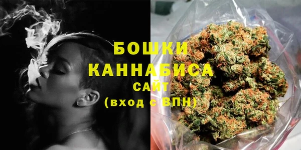 шишки Магас